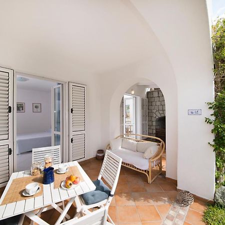 Casa Agave Lägenhet Forio di Ischia Exteriör bild